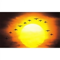 Панорамни изображения PPI силуетирани птици в залеза отпечатък от плакат от панорамни изображения - 22