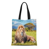Платна чанта с увреждаема чанти за пазаруване на хранителни стоки Големи лъв, лежащ на савана трева пейзаж Характерни дървета обикновени и хълмове тотална чанта